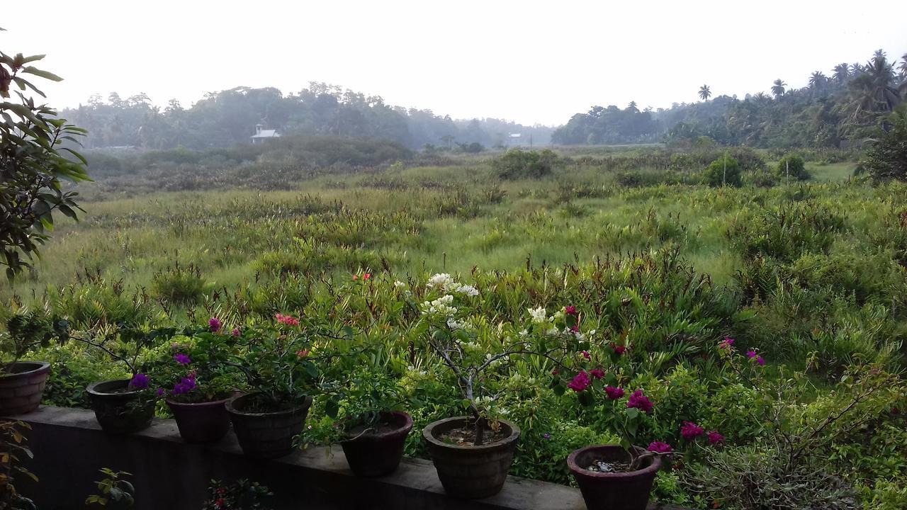 Deutsche Villa Hikkaduwa Luaran gambar