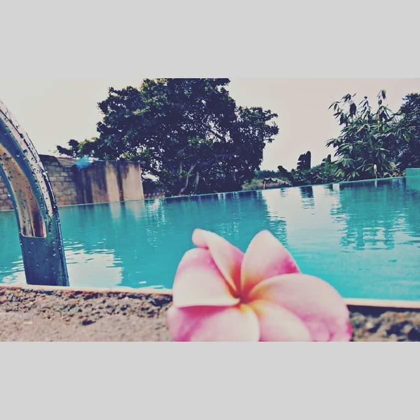 Deutsche Villa Hikkaduwa Luaran gambar